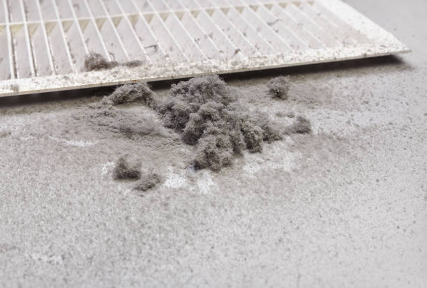 Best Ventilation Cleaning Services  in Regency At Monroe, NJ