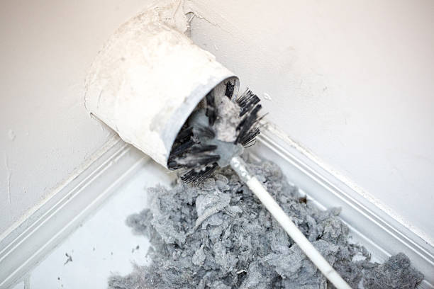 Air Duct Mold Removal in Regency At Monroe, NJ